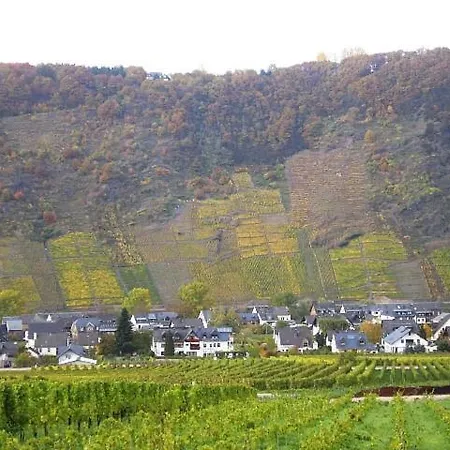 Gaestehaus Bleser *