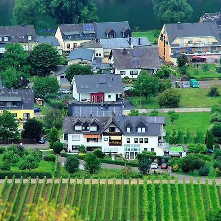 Apartment Gaestehaus Bleser *